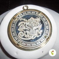 Ciondolo Moneta zodiac